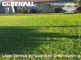 Grass Cutting nearby Cape Coral, FL, 