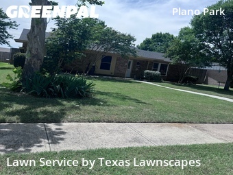 Grass Cut nearby Plano, TX, 