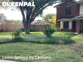 Lawn Mowing Service nearby Cedar Park, TX, 
