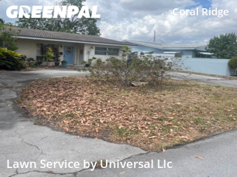 Grass Cutting nearby Fort Lauderdale, FL, 