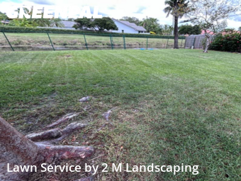Yard Care in Weston, 33326, Yard Maintenance by 2 M Landscaping, work completed in Nov , 2025