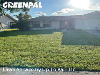 Lawn Cut nearby Cape Coral, FL, 