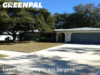 Lawn Cuttingin Clearwater,33764,Lawn Mow by Grass Sargent, work completed in Mar , 2026