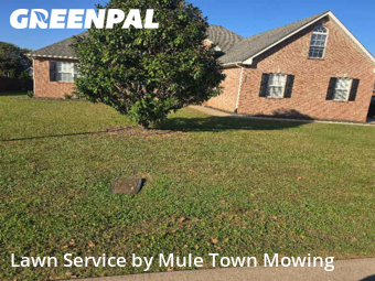 Lawn Mow nearby Murfreesboro, TN, 