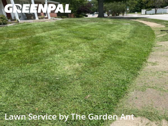 Yard Cutting nearby Ballwin, MO, 