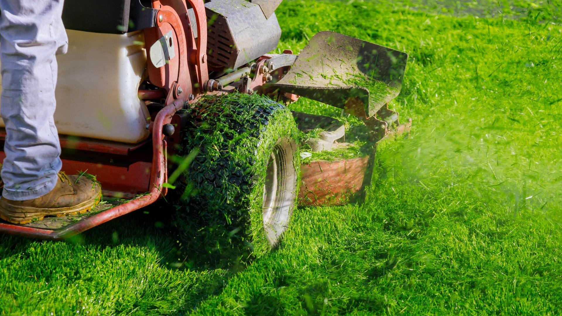 Things to Look for When Hiring a Lawn Care Company By Greenpal