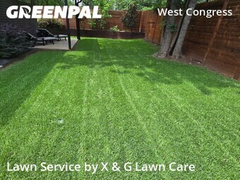Lawn Cut nearby Austin, TX, 