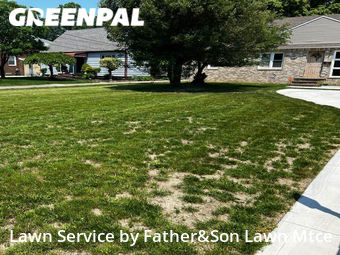 Grass Cut nearby Brooklyn, OH, 