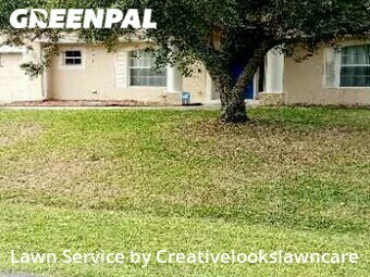 Lawn Mow nearby Palm Bay, FL, 