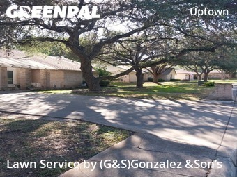 Grass Cut nearby San Antonio, TX, 