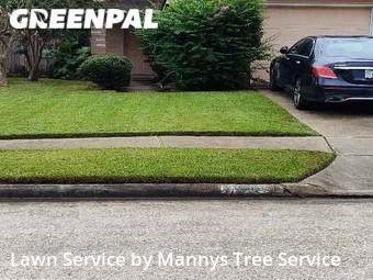 Lawn Mow nearby Friendswood, TX, 