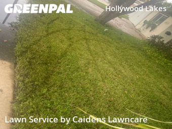 Grass Cuttingin Hollywood,33019,Lawn Service by Caidens Lawncare , work completed in Nov , 2025