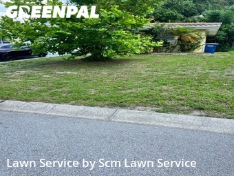 Lawn Maintenance nearby Clearwater, FL, 