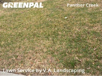 Grass Cut nearby Spring, TX, 