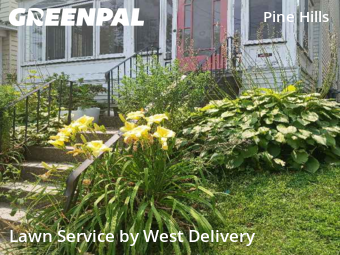 Grass Cutting nearby Albany, NY, 