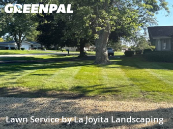 Grass Cut nearby Mokena, IL, 