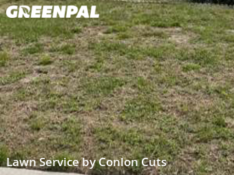 Lawn Maintenance nearby Bradenton, FL, 