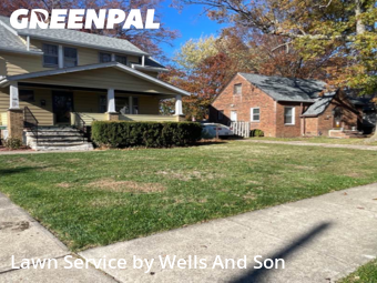 Yard Cutting in Euclid, 44123, Yard Upkeep by Wells And Son, work completed in Dec , 2025