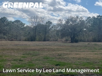 Lawn Care Service nearby Lakeland, FL, 