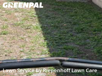 Grass Cut nearby Tampa, FL, 