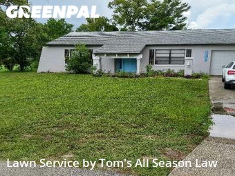 Lawn Mowing nearby Spring Hill, FL, 