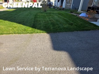 Grass Care in Algonquin, 60102, Turf Services by Terranova Landscape, work completed in Dec , 2025