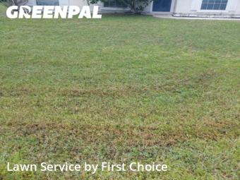 Lawn Cut nearby Palm Coast, FL, 