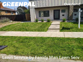Lawn Cut nearby Denver, CO, 