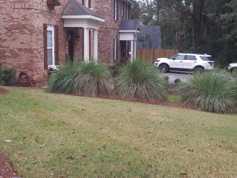 landscaping tallahassee