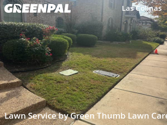 Yard Cuttingin Irving,75039,Lawn Mow by Green Thumb Lawn Care, work completed in Dec , 2025