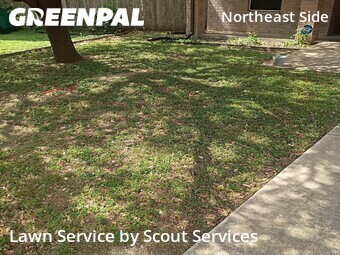 Lawn Cutin Converse,78109,Lawn Mowing by Scout Services, work completed in Jun , 2026
