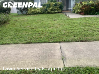 Grass Cut nearby Lakeland, FL, 