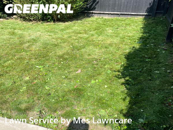 Grass Cutting nearby Pittsburgh, PA, 