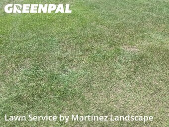 Lawn Care nearby Leesburg, FL, 
