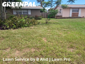 Lawn Cutting nearby Seminole, FL, 