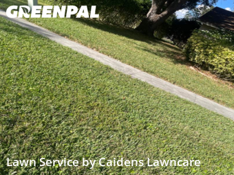 Lawn mowed in Royal Palm Beach, 33411