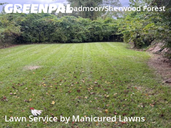 Landscaping Maintenance In Baton Rouge,70815,Landscapers by Manicured Lawns, work completed in Nov , 2025