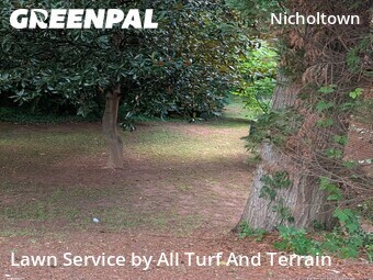 Lawn Mowing Service nearby Greenville, SC, 