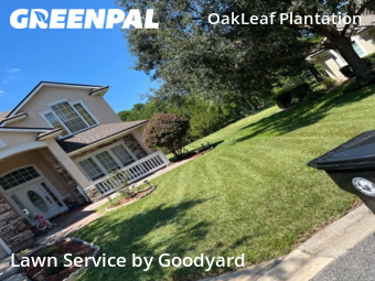 Lawn Maintenancein Orange Park,32065,Lawn Care Service by Goodyard , work completed in Oct , 2025