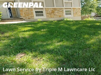 Lawn Cut nearby Lee's Summit, MO, 