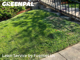 Yard Cutting nearby Nottingham, MD, 