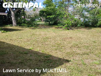 Lawn Maintenance nearby Holiday, FL, 