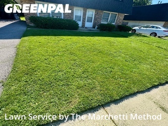 Lawn Service nearby North Aurora, IL, 