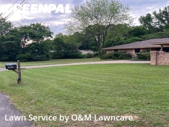 Grass Cut nearby Tyler, TX, 