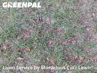 Lawn Mowing nearby Columbia, SC, 