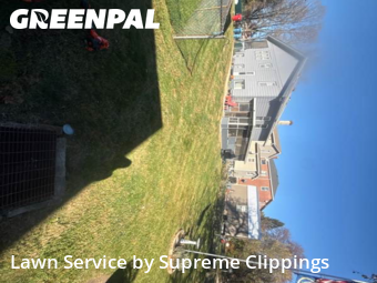 Lawn Maintenance in Cincinnati, 45236, Yard Grooming by Supreme Clippings , work completed in Nov , 2025