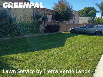 Lawn Mowing nearby Lynwood, CA, 