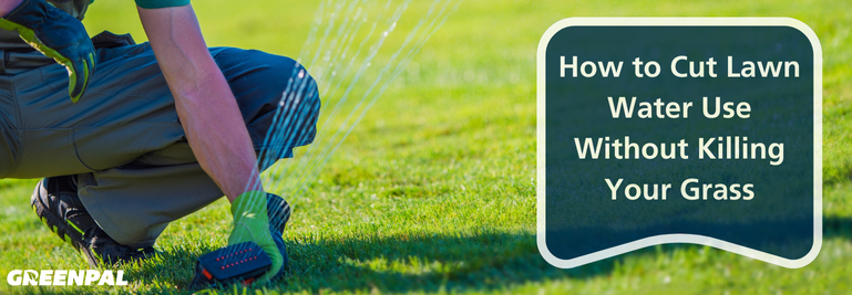 Water-Wise Lawn Report 2025: How to Cut Lawn Water Use Without Killing Your Grass By Greenpal