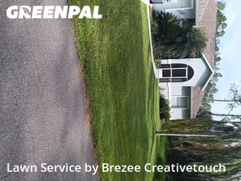 Grass Cutting nearby Palm Coast, FL, 