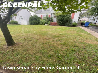 Grass Cut nearby Woodbridge Township, NJ, 